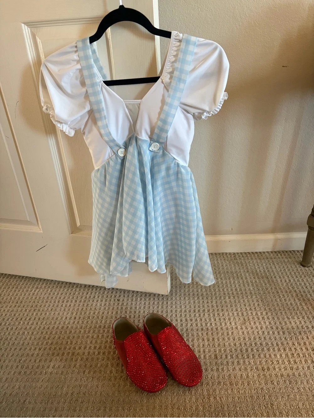 Kids Blue Gingham Dorothy Costume Dress with White Blouse